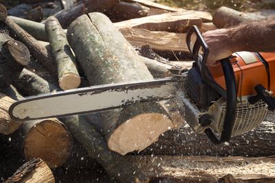 Tree service in Binghamton, NY